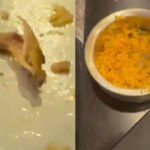 chicken found in veg biryani