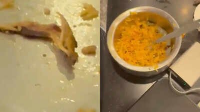 chicken found in veg biryani