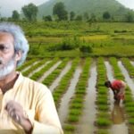 debal deb