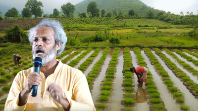debal deb