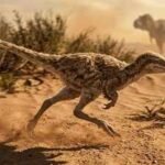 dinosaurs as small as cats