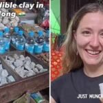 foreigner tries shillongs unusual edible snack says its not for me