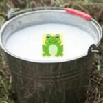 frog in the milk