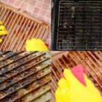 how to steam clean your oven grill plate