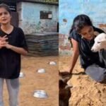 meet jagriti mishrathe animal rescuer standing up for paralysed animals