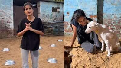 meet jagriti mishrathe animal rescuer standing up for paralysed animals