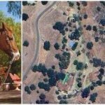 noah wyles 80 acre santa ynez ranch offers him a peaceful escape from hollywood