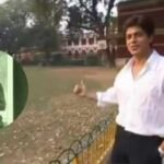 shah rukh khan