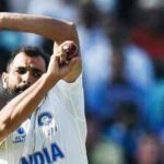 shami 1210 icc