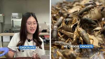 student makes chocolate ice cream using crickets