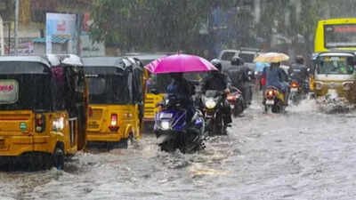 tamil nadu school holiday