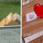 woman living abroad shares diwali gift sent by parents from india